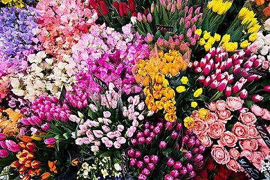 《失落迷城：群星的诅咒》10＆11发售 试玩已推出